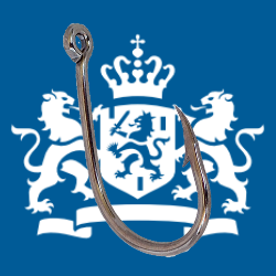 Nepmail over naheffingsaanslag